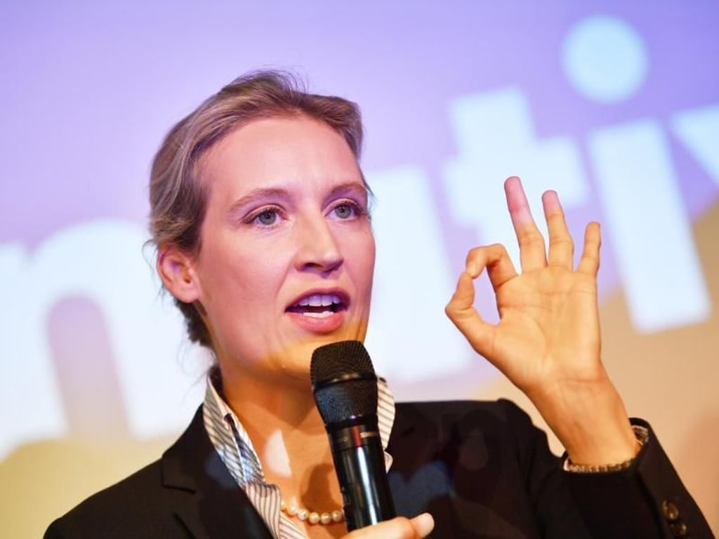 Alice Weidel verspricht: «Jetzt müssen wir liefern - und jetzt werden wir liefern.» Foto: Julian Stratenschulte