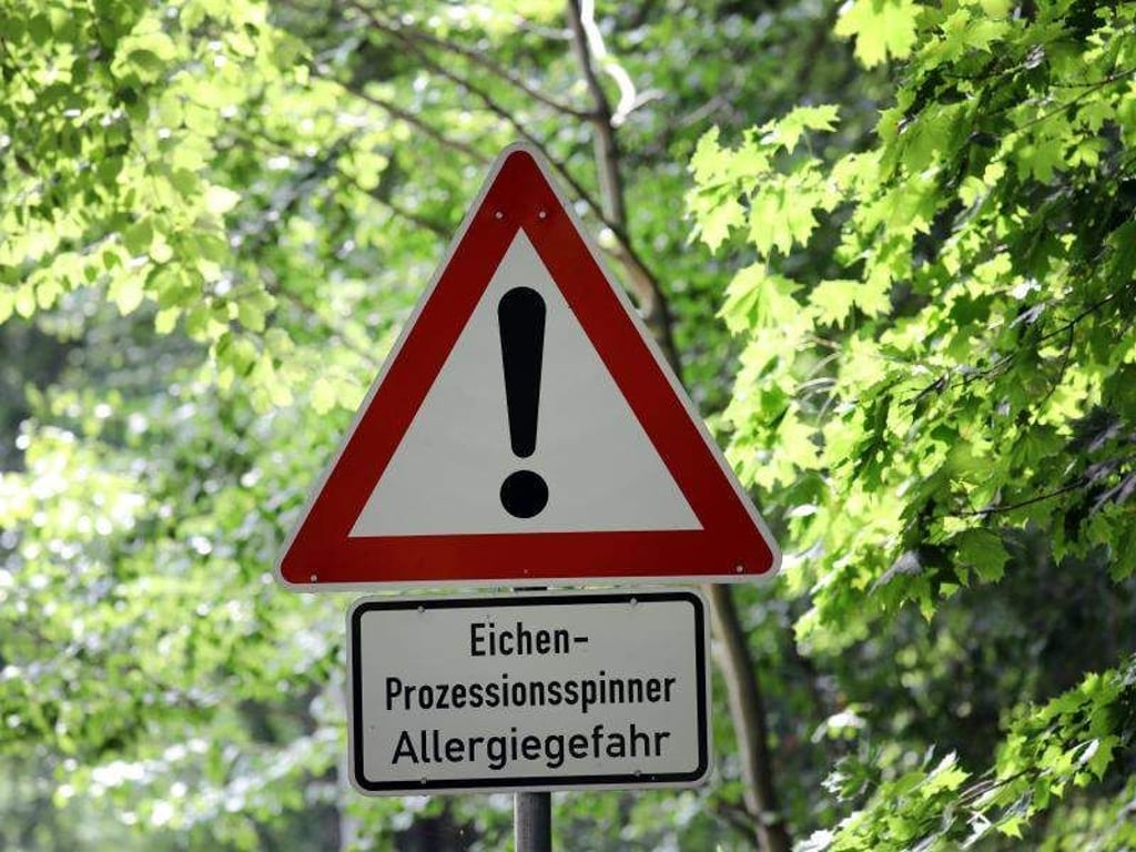 Schild warnt vor Eichenprozessionsspinner. Foto: Bernd Wüstneck/Archiv