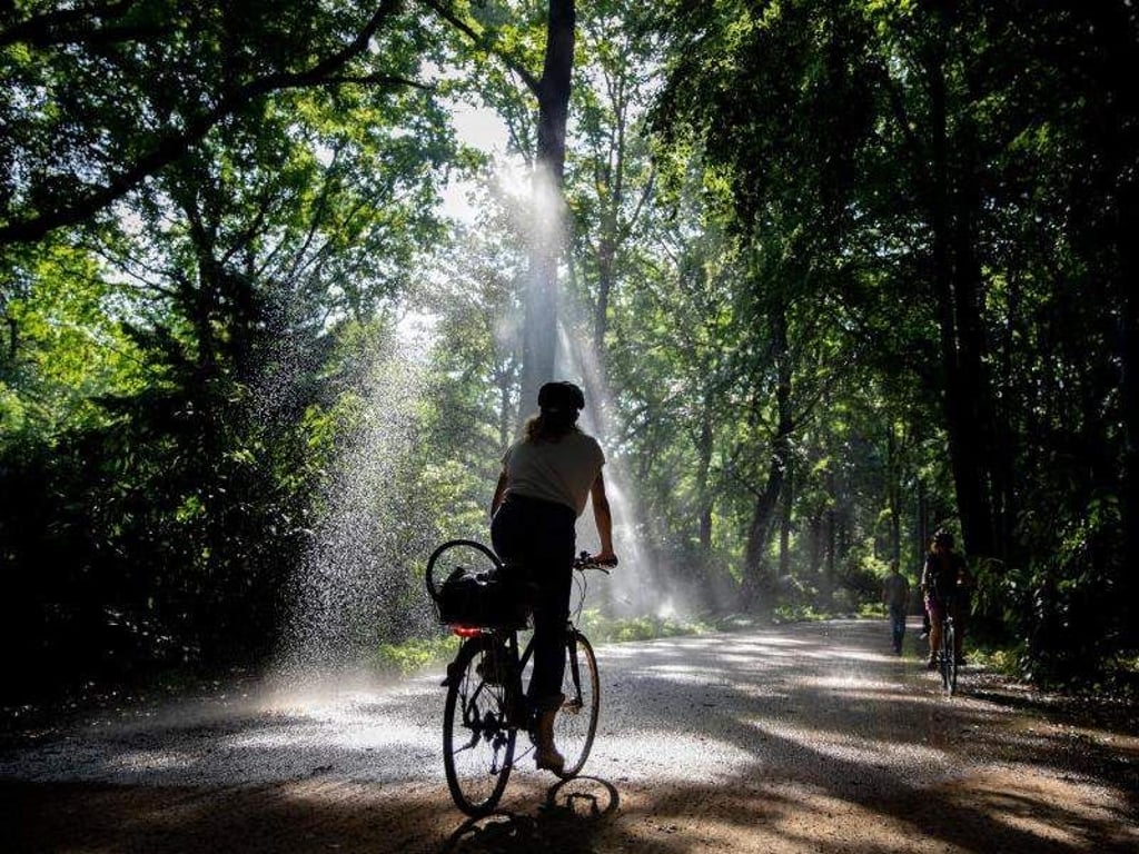 Wohl dem, der ein bisschen Kühlung abbekommt: Wassersprenger im Berliner Tiergarten. Foto: Kay Nietfeld