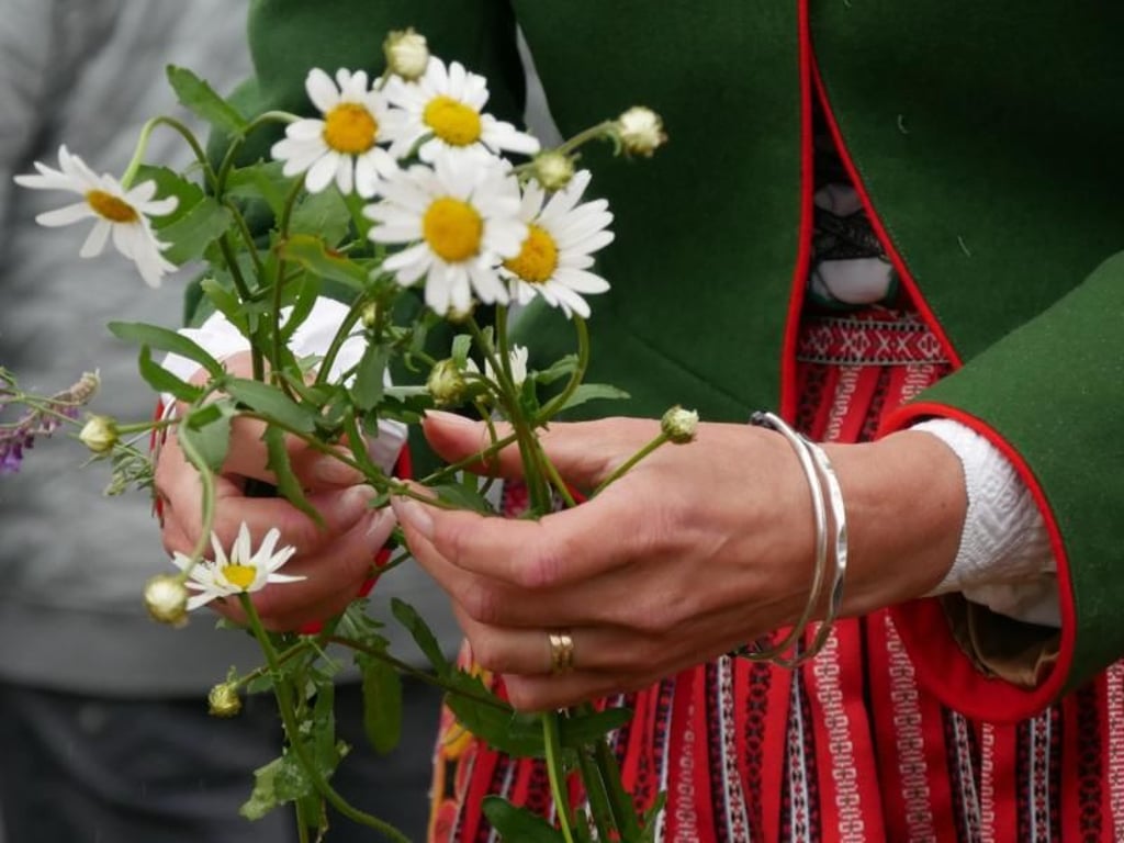 Mit Blumen - hier zum Beispiel Margeriten - schmücken die Frauen den Mittsommerbaum oder ihre Blumenkränze. Foto: Isabelle Modler