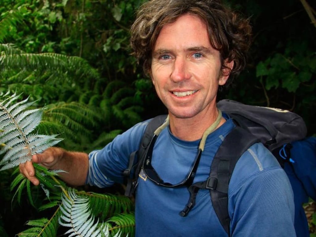Guide Jeremy Martin zeigt einen Silberfarn - es gibt viel zu entdecken auf dem 71 Kilometer langen Queen Charlotte Track. Foto: Michael Juhran