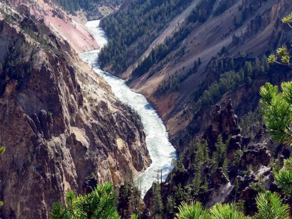 Vom «South Rim Trail» aus haben Besucher den Grand Canyon of the Yellowstone gut im Blick. Foto: Christian Röwekamp