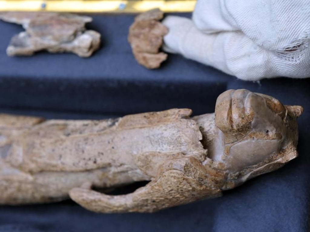 Der Löwenmensch ist eines der ältesten Kunstwerke der Welt. Foto: Stefan Puchner