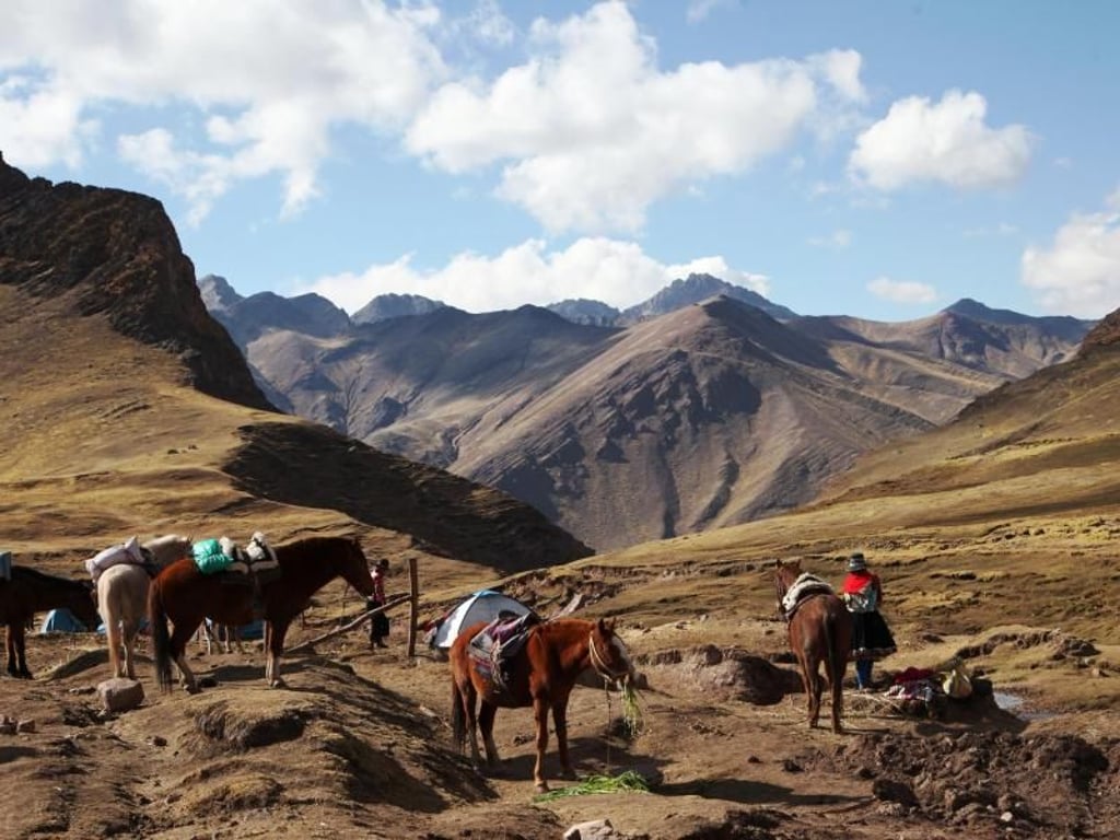 Für den Weg hinauf zum Vinicunca stehen für lauffaule Touristen auch Pferde bereit - angesichts der Höhe keine so schlechte Transportmöglichkeit. Foto: Steffen Trumpf/dpa-tmn