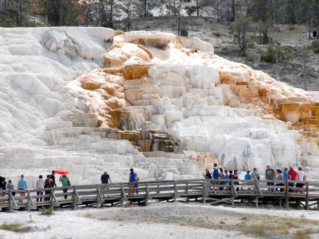 Über die Sinterterrassen von Mammoth Hot Springs fließt heißes Wasser. Foto: Christian Röwekamp