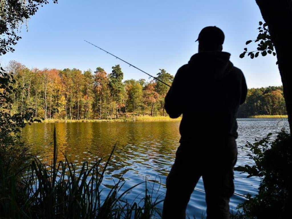 Ein Angler versucht einen Fisch zu fangen. Foto: Patrick Pleul/Archiv
