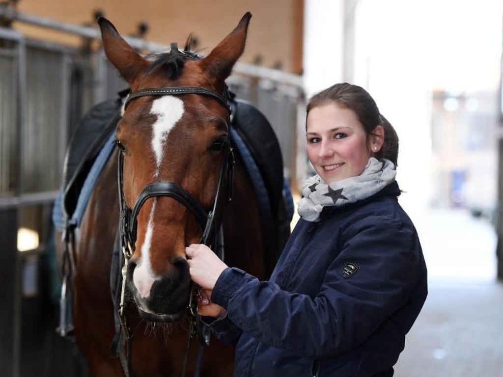 Pferde pflegen, füttern und reiten: Sophia Mann hat einen Job, um den sie viele beneiden. Sie arbeitet als Pferdewirtin auf Gut Riedhausen in Brunnthal bei München. Foto: Tobias Hase