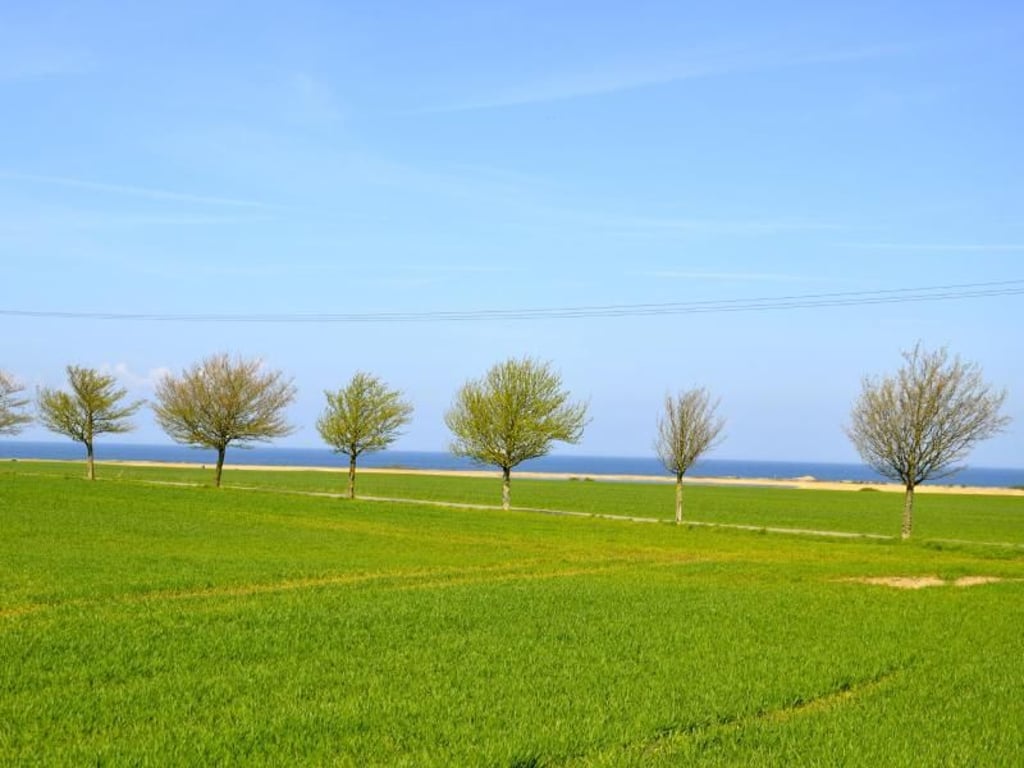 Blick auf die Ostsee - der Riedensee ist nur durch Dünen vom Meer getrennt. Foto. Wolfgang Stelljes Foto: Wolfgang Stelljes
