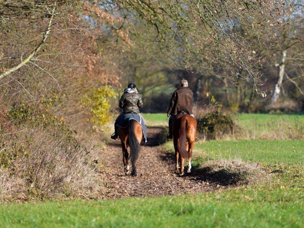 Reiten tut dem Rücken gut. Wer auf einem Pferd sitzt, muss die Bewegung des Tieres ausgleichen und aktiviert damit Muskeln, die sonst kaum erreicht werden. Foto: Axel Heimken/dpa