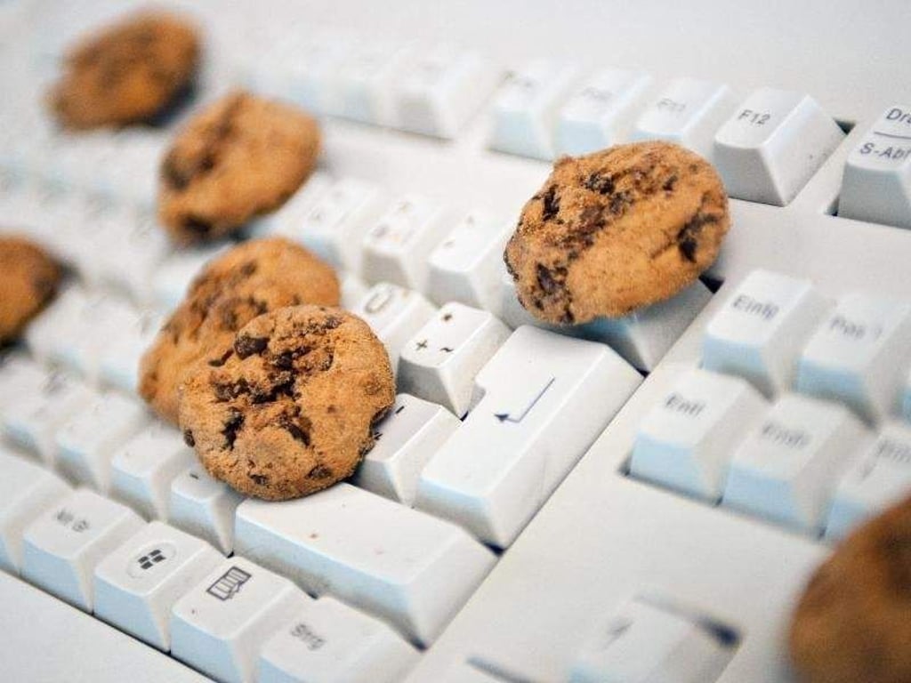 Unternehmen nutzen Cookies, um den Nutzer zu beobachten. Foto: Mascha Brichta