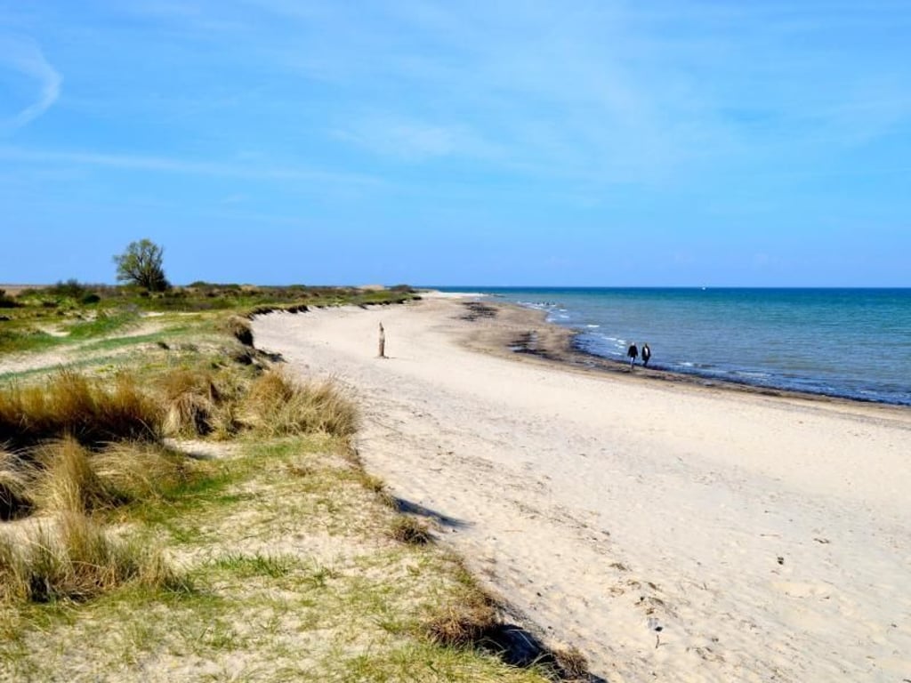 Naturstrand beim Riedensee - die Kühlung liegt unweit der See. Foto: Wolfgang Stelljes