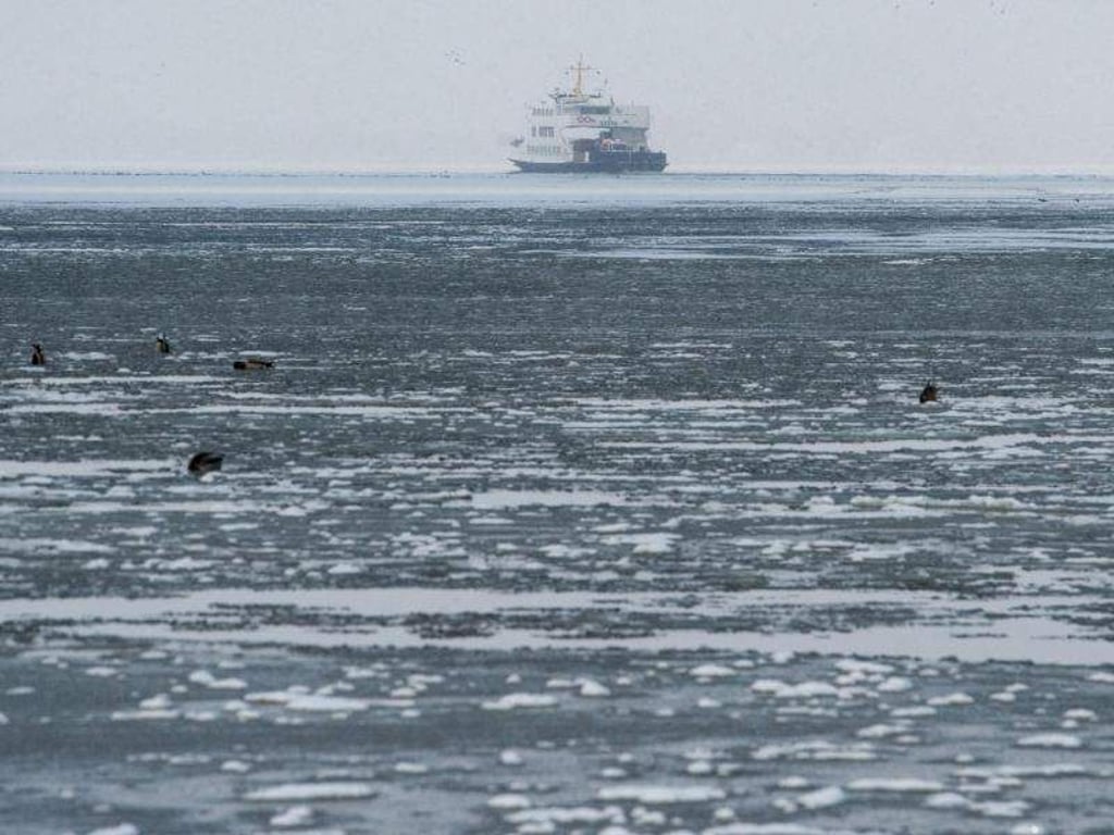 Fähre «Vitte» auf dem von Eis bedeckten Bodden in der Nähe der Insel Rügen. Foto: Stefan Sauer