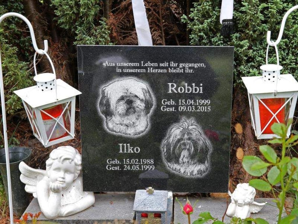 Ein Grab auf einem Tierfriedhof. Foto: Bernd Wüstneck/Illustration