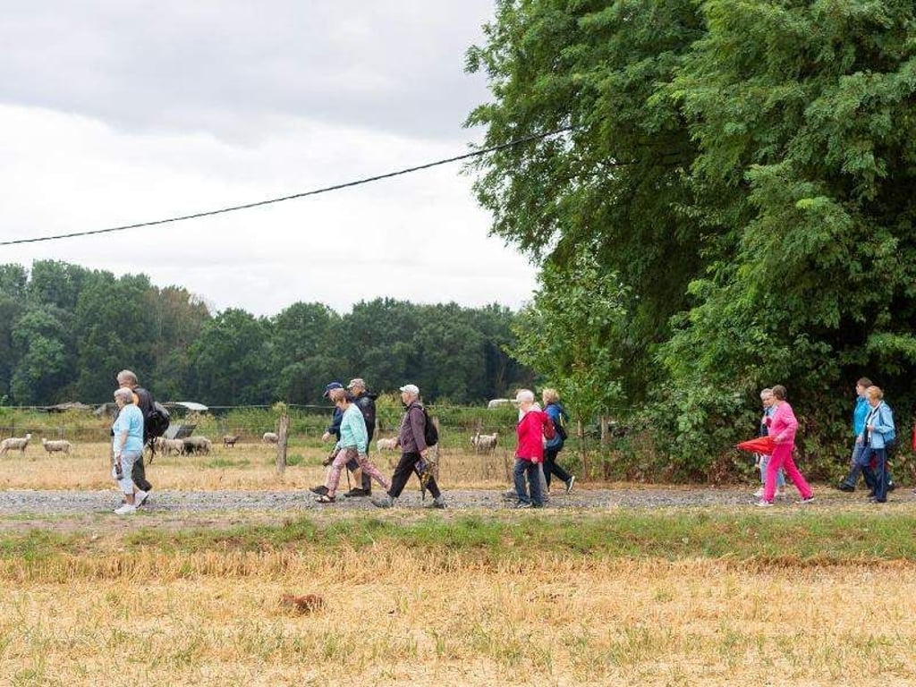 Wandern in der Gruppe. Foto: Christophe Gateau