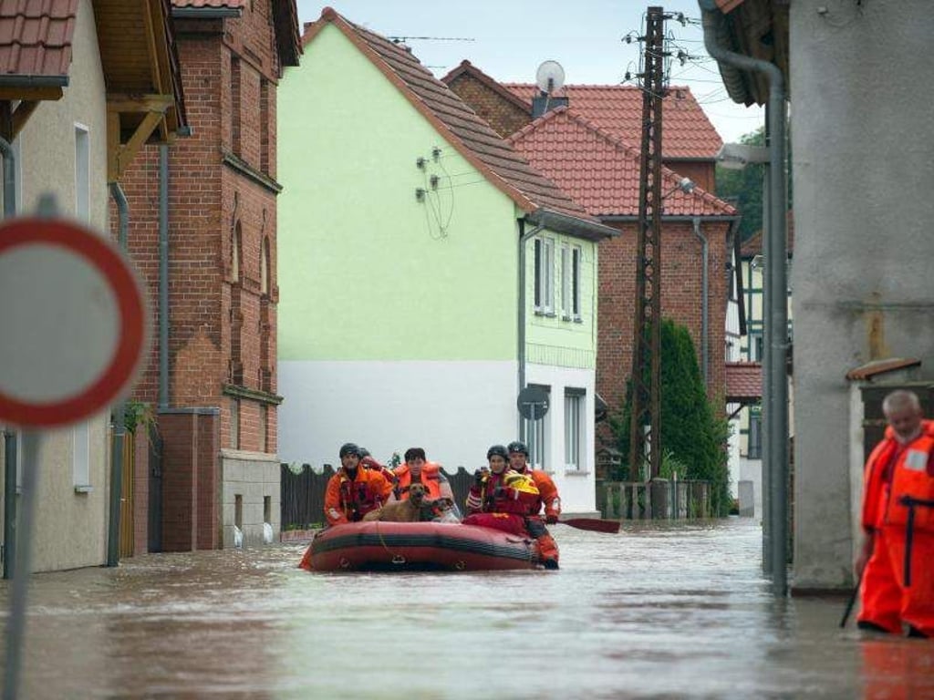 DLRG-Mitarbeiter bringen zwei Hunde und eine Bewohnerin ins Trockene. In Harsleben ist der Goldbach in der Nacht sprunghaft angestiegen und hat weite Teile des Ortes überflutet. Foto: Klaus-Dietmar Gabbert