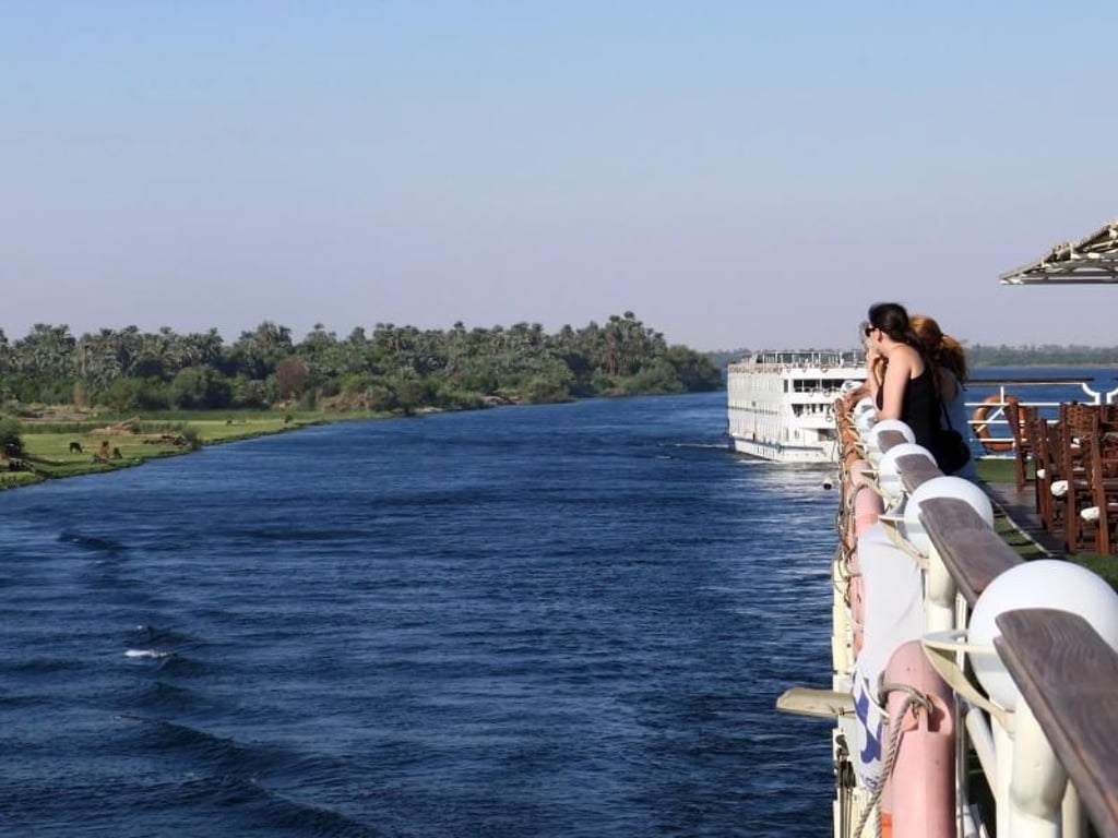 Wo der Nil Ägypten mit Wasser versorgt, ist das Land sattgrün. Entlang des Ufers wachsen Palmenhaine und saftige Weidewiesen für die Kühe. Foto: Simone A. Mayer/dpa-tmn