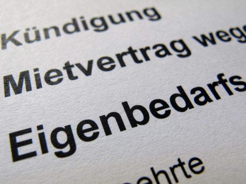 Stephan Jansen