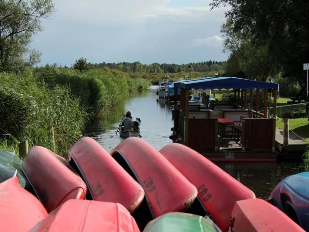 Die Peene lässt sich am besten per Kanu erkunden - der Fluss ist knapp 85 Kilometer lang. Foto: Alexandra Frank