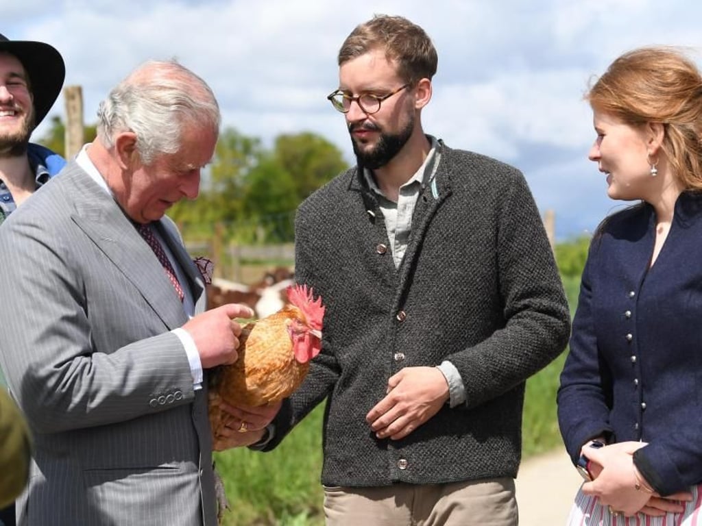 Prinz Charles (l) mit Hahn auf dem Bio-Bauernhof: Foto: Matthias Balk