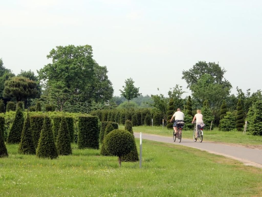 Unterwegs auf zwei Rädern: Viele Radwege im Ammerland führen durch die Baumschulgebiete der Region. Foto: Bernd F. Meier