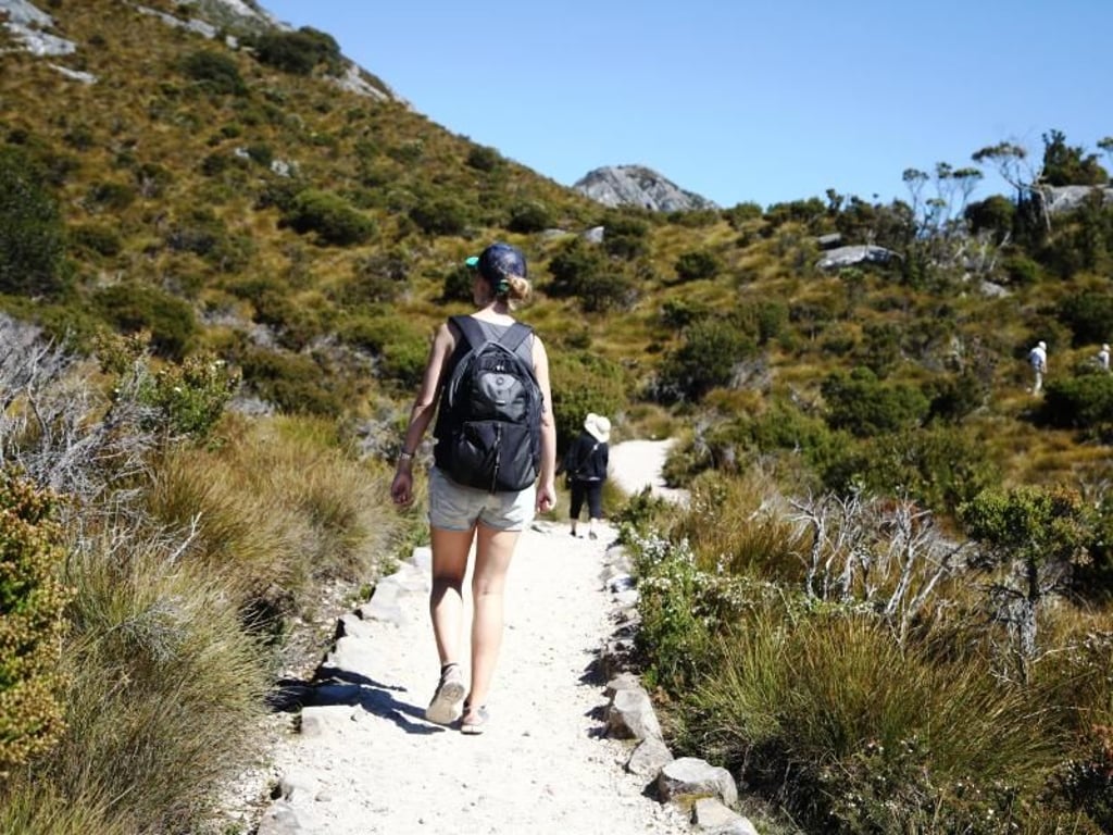 Auf den Pfaden des Cradle Mountain St. Clair National Parks können Besucher mit etwas Glück Tiere beobachten, die es nur in Australien gibt. Foto: Steffen Trumpf
