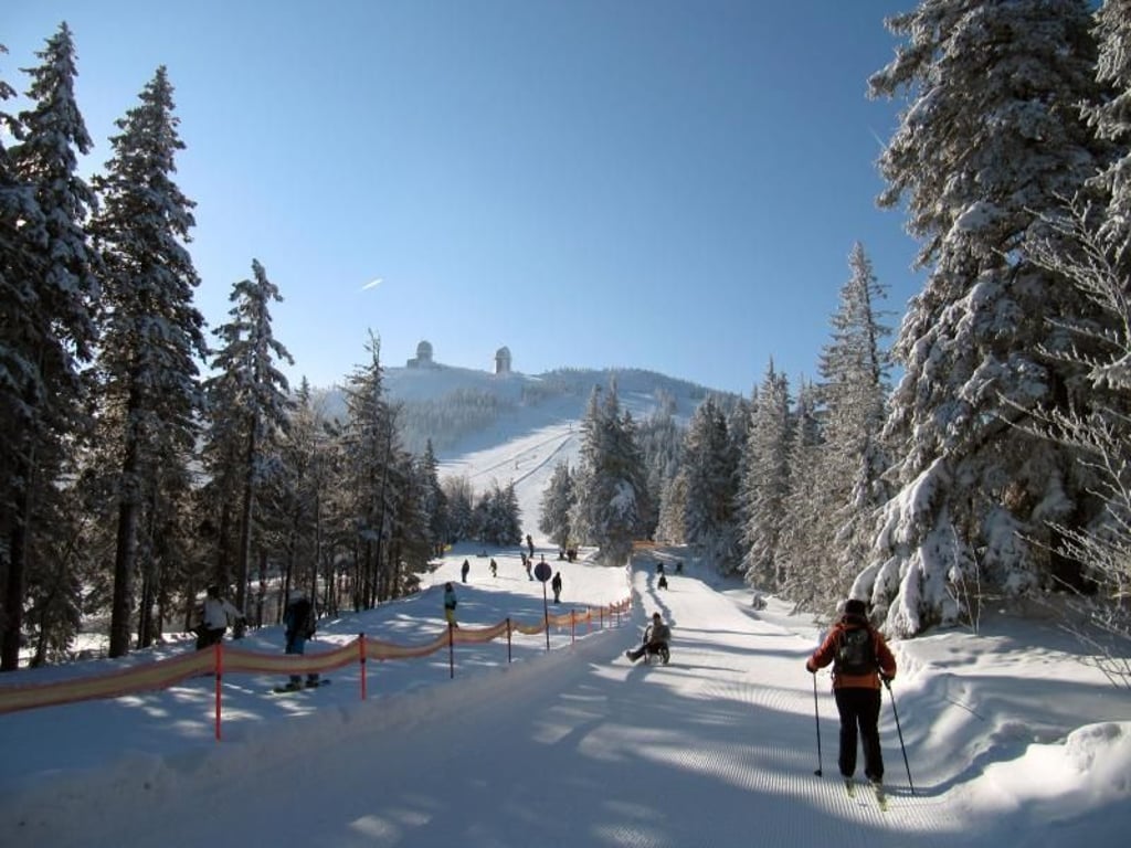 Verschneite Tannen im Osten Bayerns: Die Region am Großen Arber zieht Langläufer und Rodler im Winter ebenso an wie Alpinskiläufer. Foto: Rudi Simeth