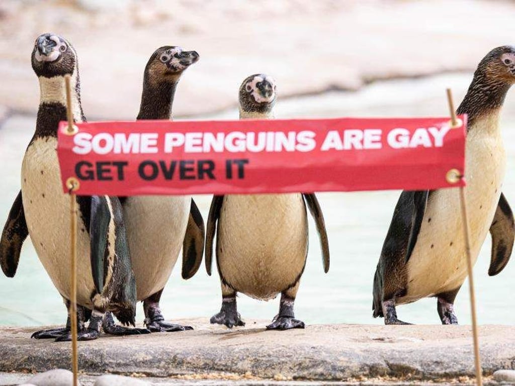 «Manche Pinguine sind schwul, komm darüber hinweg» - mit diesem Spruch will der Londoner Zoo über Homosexualität bei Tieren aufklären. Foto: ZSL London Zoo