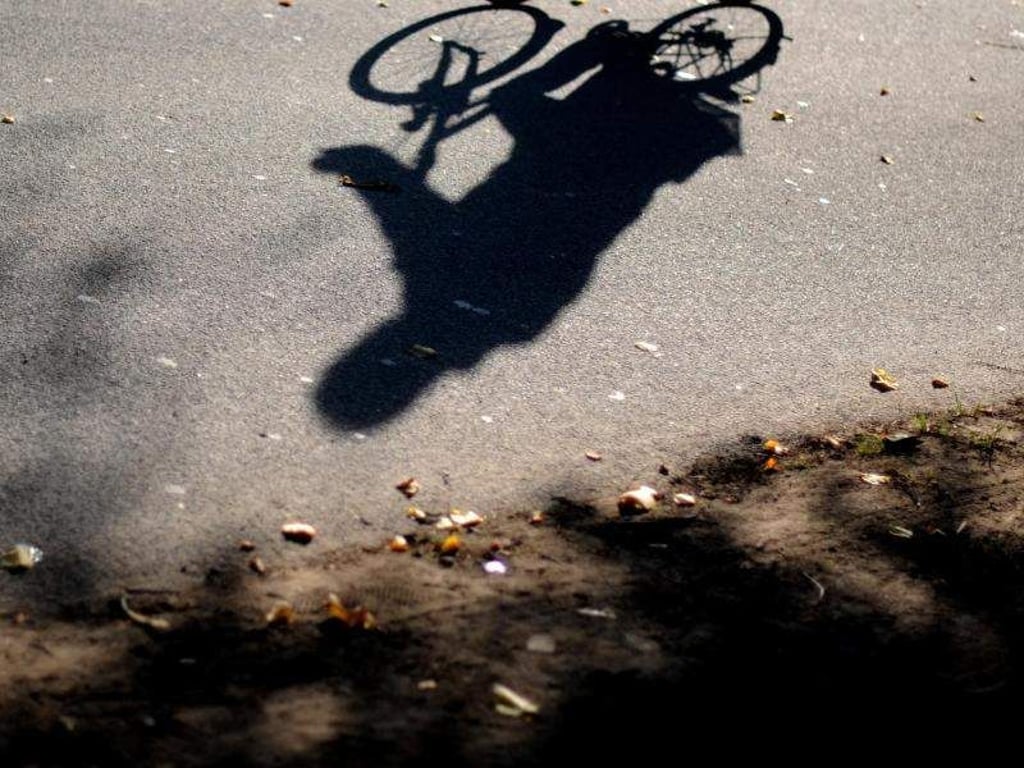 E-Biker sollten ihr Rad nicht frisieren. Foto: Julian Stratenschulte