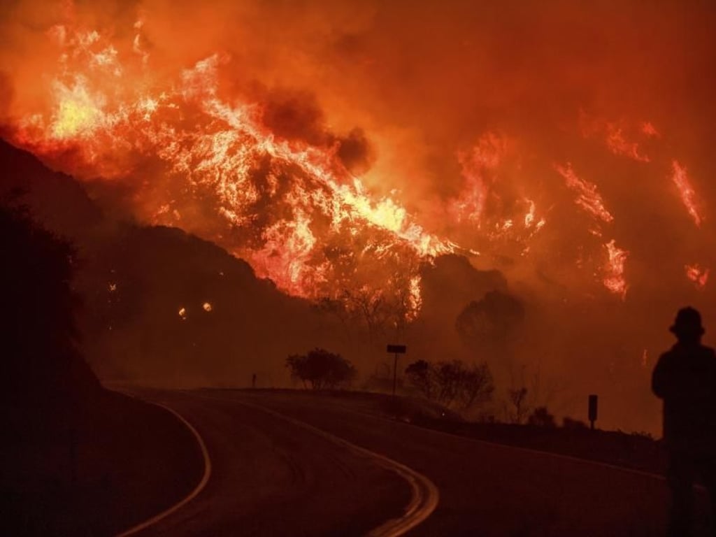 Die Flammen bahnen sich ihren Weg durch den Los Padres National Forest. Foto: Noah Berger