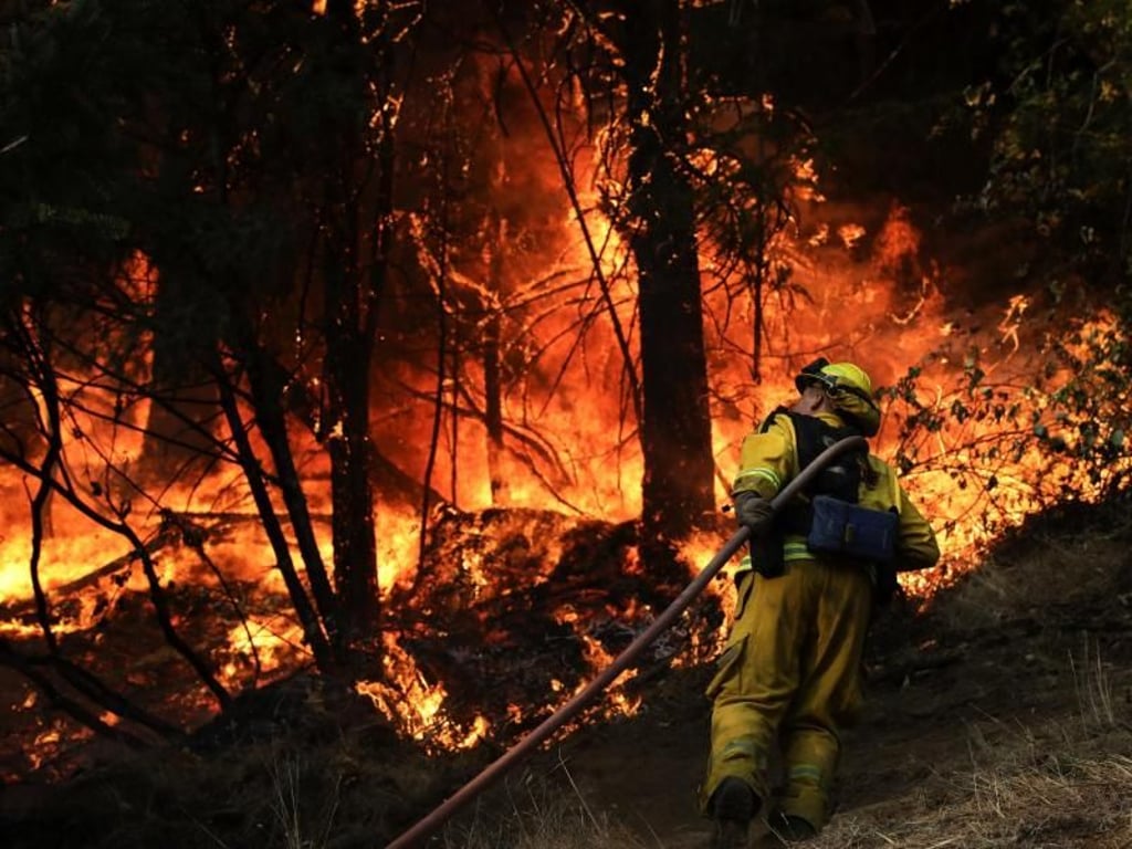 Brandherd in Calistoga: Die Zahl der Toten bei den verheerenden Bränden in Nordkalifornien steigt weiter. Foto: Jae C. Hong