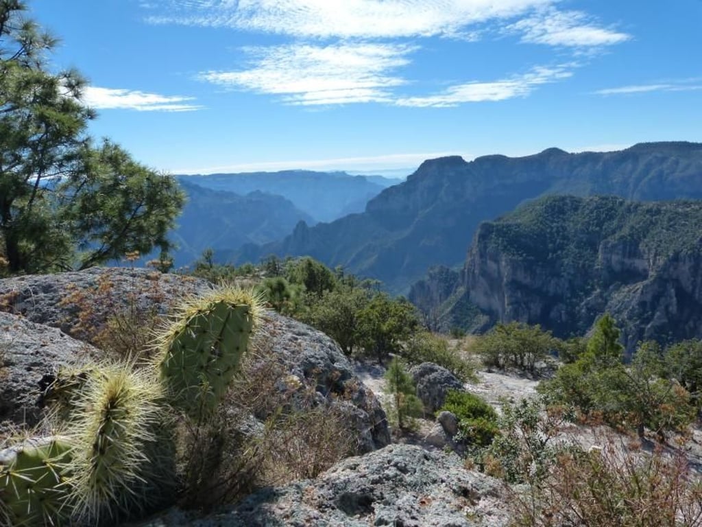 Die Landschaft des Kupfercanyon ist beeindruckend. Seit den Drogenkriegen der Kartelle sind die Besucherzahlen aus den USA in Mexiko allerdings eingebrochen. Foto: Florian Sanktjohanser