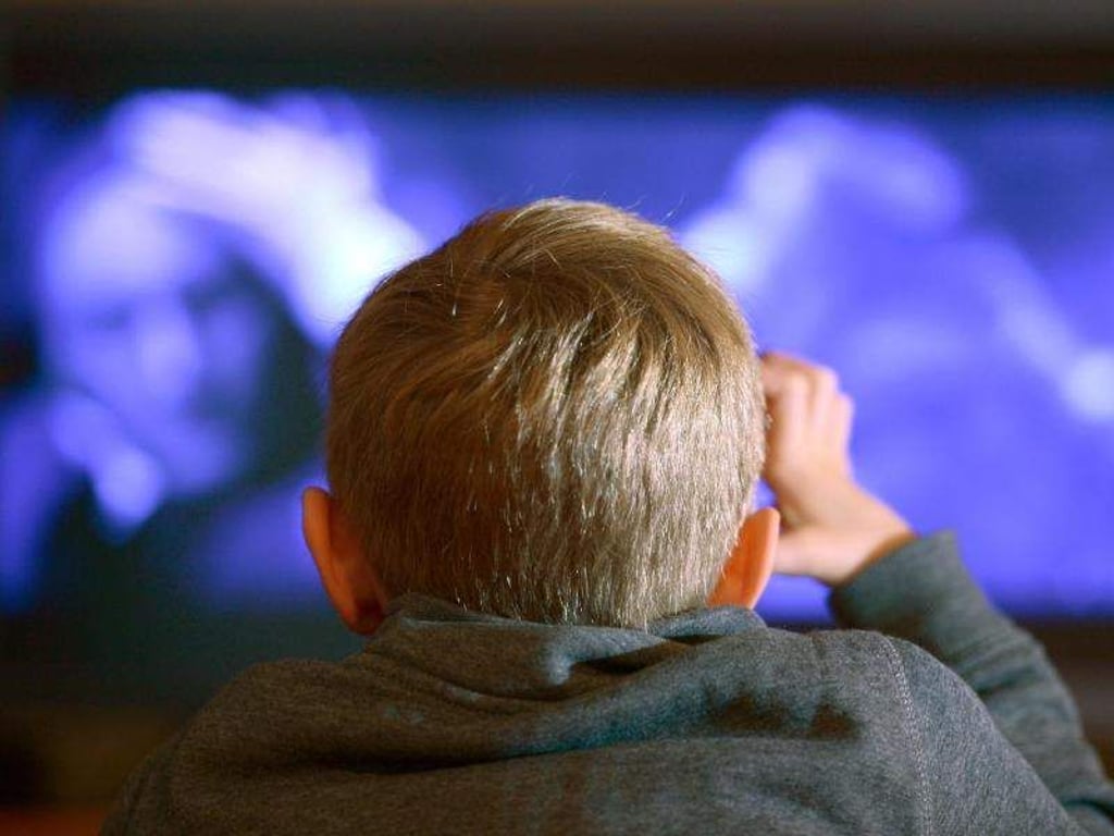 Kleine Kinder sollten keine Realityshows schauen. Ältere Kinder sollten die Formate nur in Begleitung ansehen. Foto: Arne Dedert/dpa