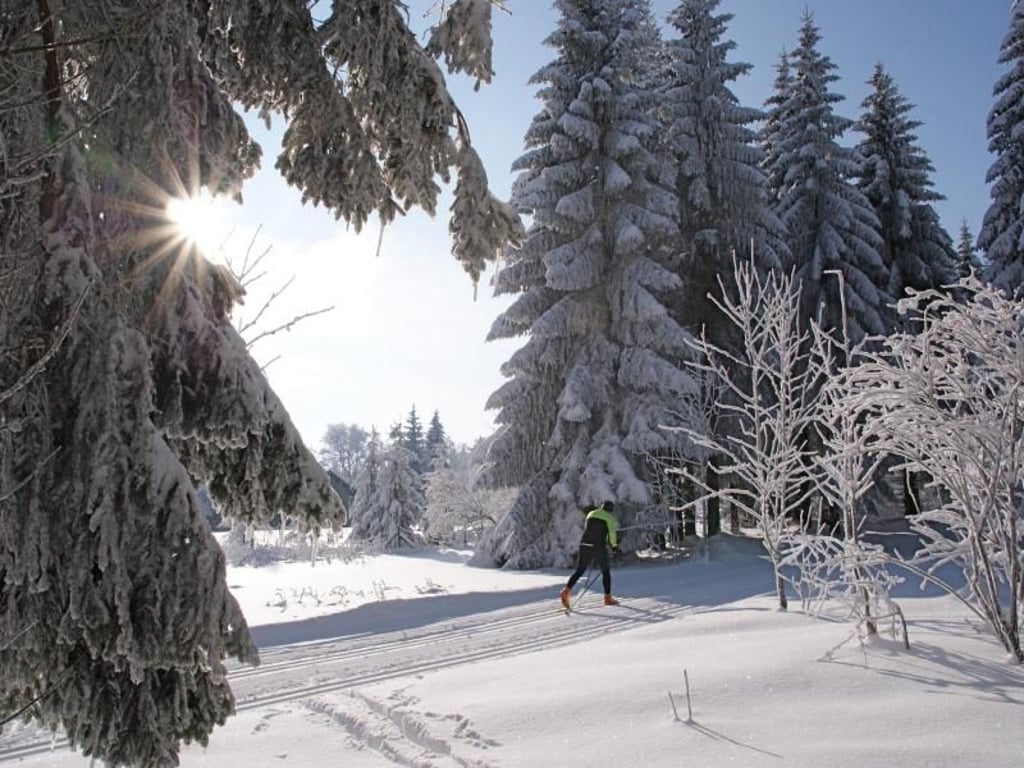 In der Wintersportregion bei Sankt Englmar im Bayerischen Wald steht Langläufern ein 105 Kilometer langes Loipennetz zur Verfügung. Foto: Tourist-Information St. Englmar