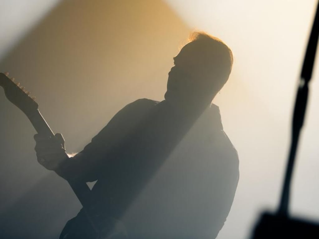 «Kuddel» im Gegenlicht. Foto: Gregor Fischer