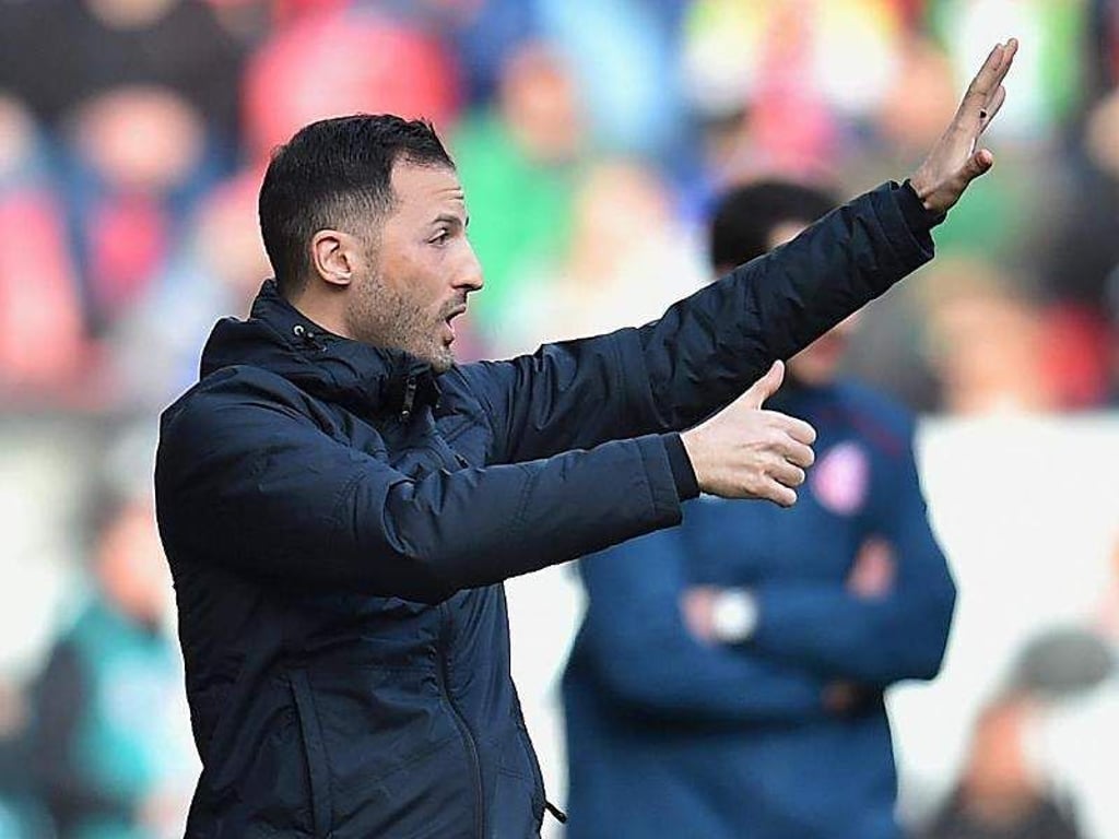 Schalke-Trainer Domenico Tedesco steht unter Druck. Foto: Torsten Silz