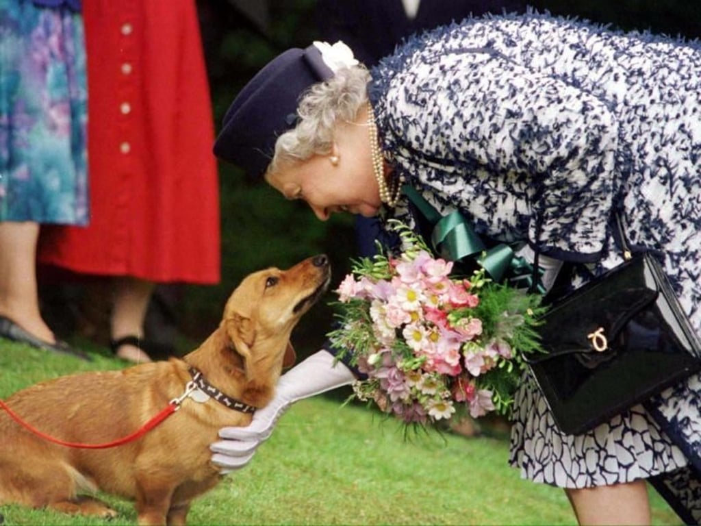 Die britische Königin liebt Hunde. Foto: epa