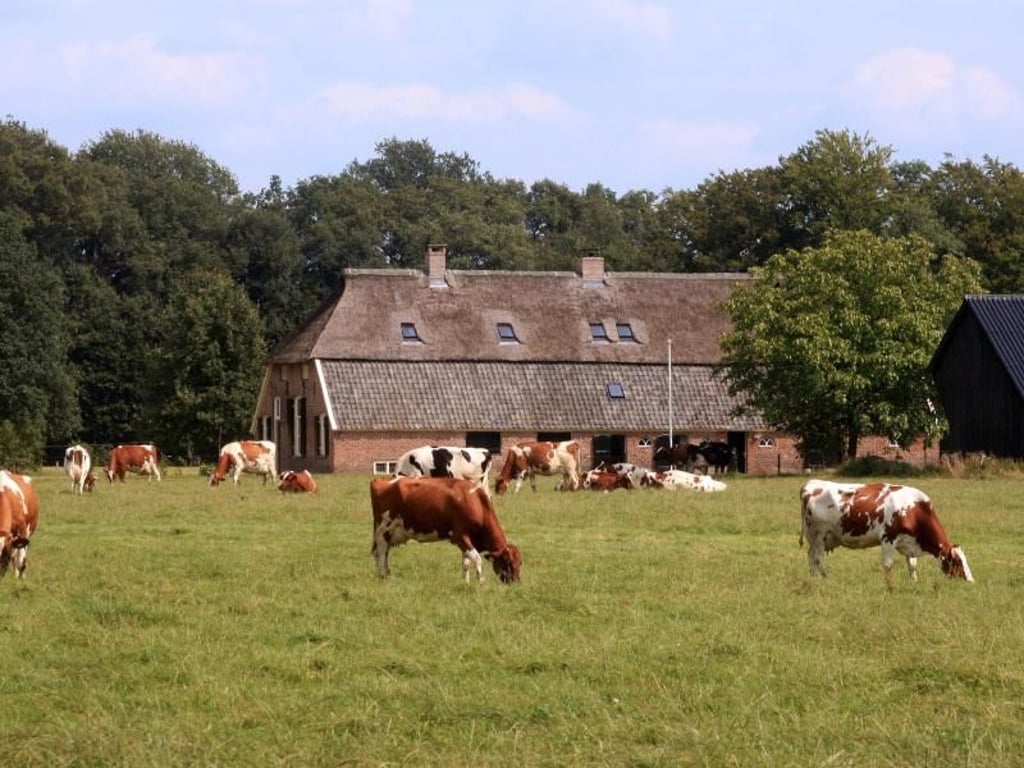 Ein Bauernhof bei Vorden im Achterhoek. Foto: Bernd Meier