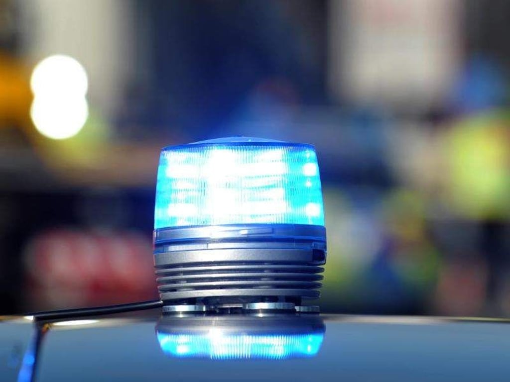 Das Blaulicht eines Streifenwagens leuchtet. Foto: Stefan Puchner/Archiv