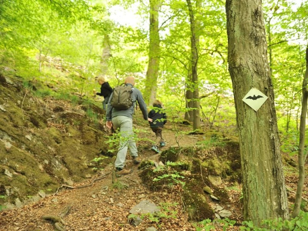 Wanderer haben auf dem Schieferpfad besser Verpflegung dabei - Gasthäuser gibt es entlang des Weges nicht. Foto: Bad Berleburg Tourismus GmbH