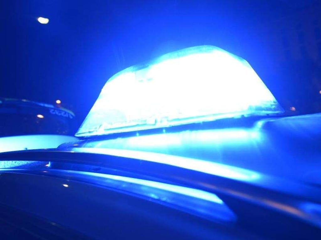 Das Blaulicht eines Polizeifahrzeugs leuchtet. Foto: Patrick Seeger/Archiv