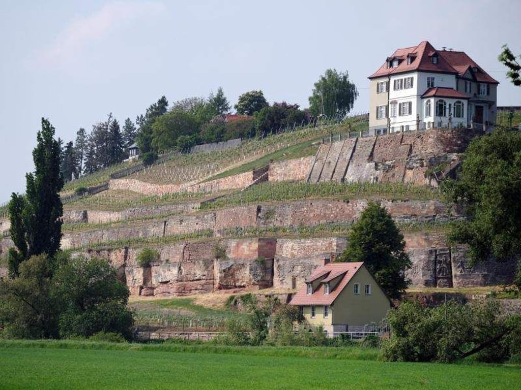 Ein Weinberg in der Nähe des Dorfes Großjena an der Unstrut. Foto: Sebastian Willnow/Archivbild