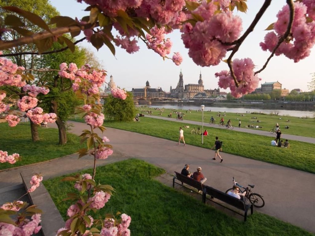 Abendspaziergang am Ufer der Elbe in Dresden. Foto: Sebastian Kahnert