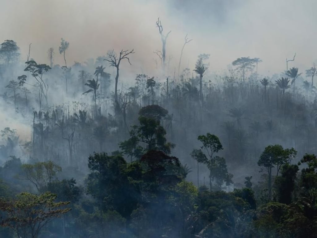 Rauch steigt aus dem Regenwald im Amazonas bei Altamira. Foto: Leo Correa/AP