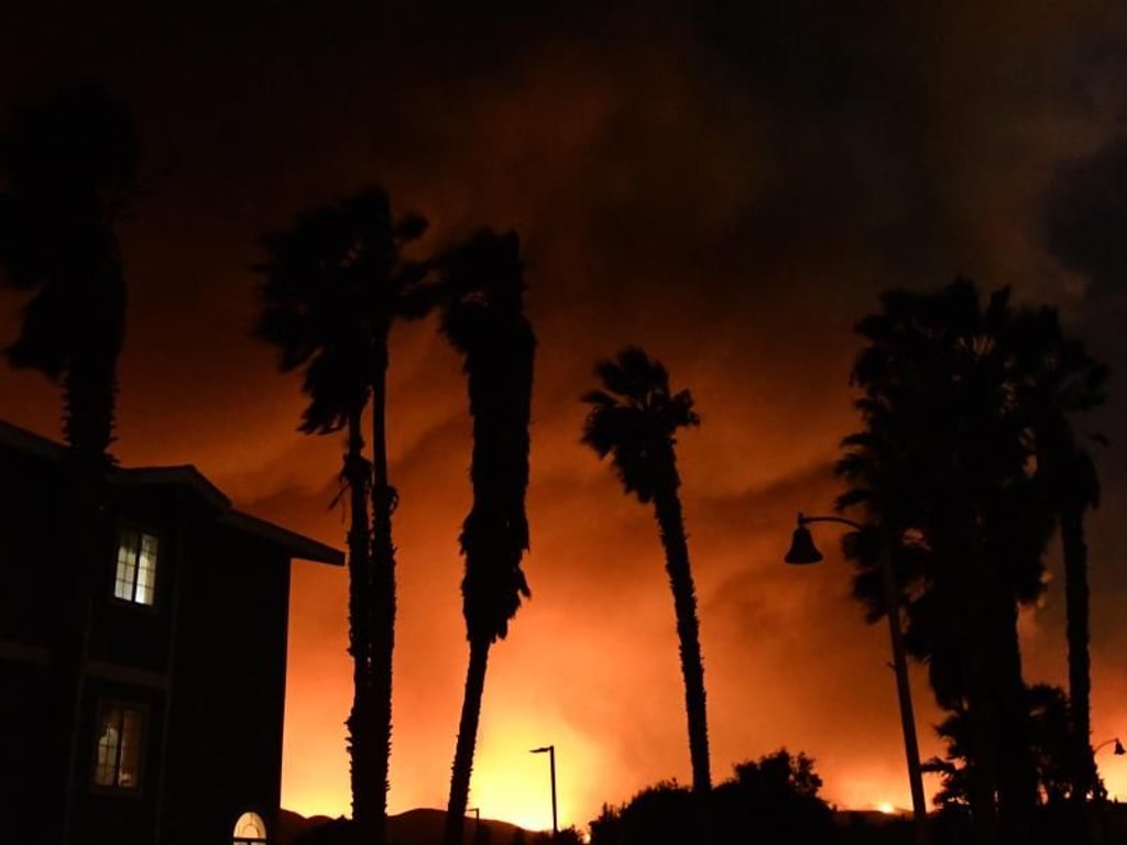 Das Buschfeuer in Santa Paula wird von heftigem Wind angefacht. Foto: Gene Blevins