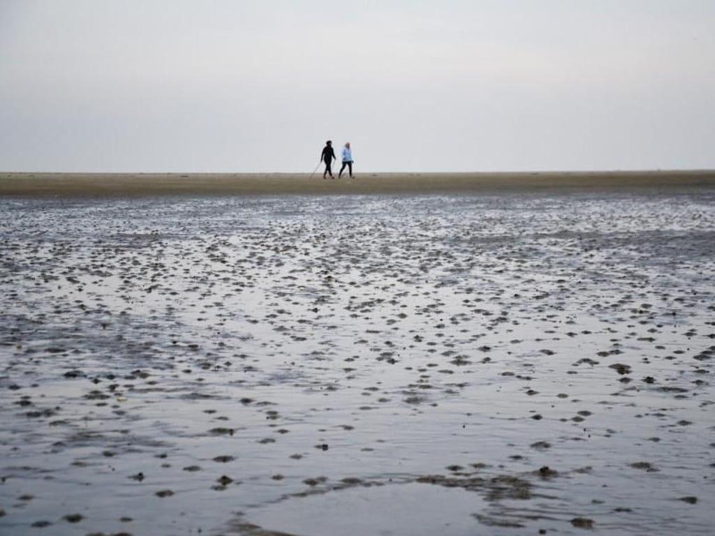 Andreas Heimann