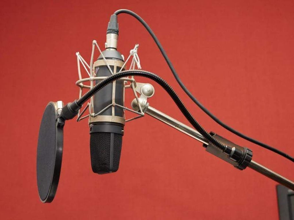Der Rundfunkpreis Mitteldeutschland wurde an privater Radiomacher vergeben. Foto: Georg Wendt/Archiv