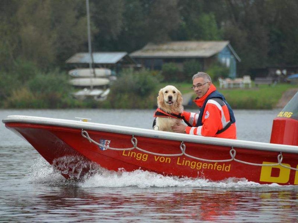 Hunde werden auch als Rettungsschwimmer eingesetzt - natürlich mit Schwimmweste. Foto: Uwe Zucchi (Archivbild)