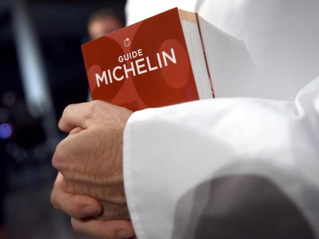 Die Sterne-Bibel - der Guide Michelin. Foto: Britta Pedersen