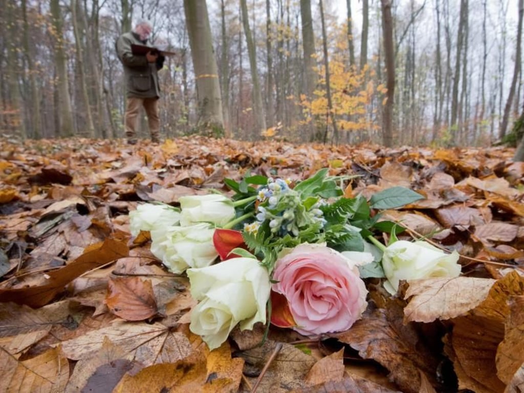 Blumen liegen nach einer Beisetzung einer Urne im RuheForst Deister. In dem Waldgebiet können Menschen nach ihrem Tod bestattet werden. Die Asche des Verstorbenen wird in einer biologisch abbaubaren Urne beigesetzt. Foto: Julian Stratenschulte