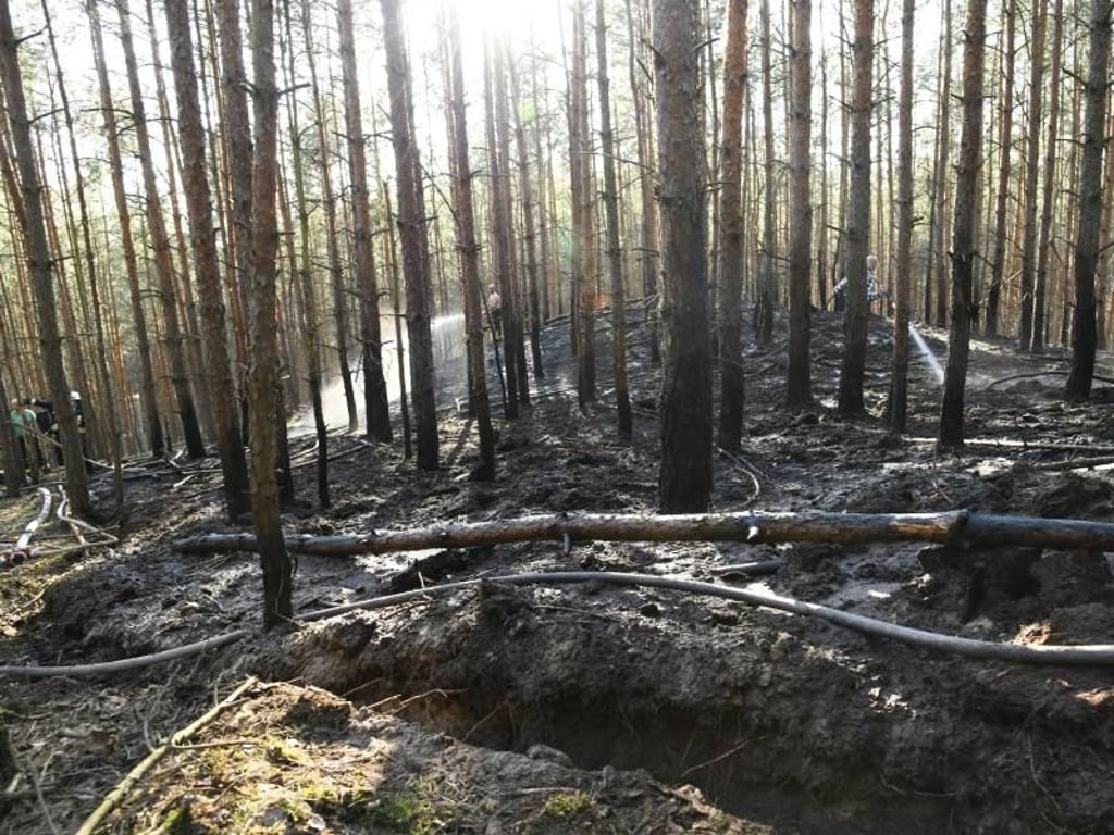 In einem Waldgebiet in der Nähe von Groß Kreutz (Kreis Potsdam-Mittelmark) sind bereits Bäume verbrannt. Foto: Julian Stähle